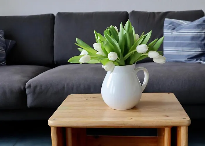 Ow-25-lee-k Appartement